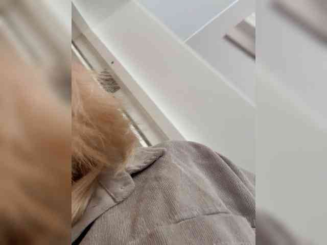 Aloyna Live Webcam on BongaCams Aloyna Live Webcam on BongaCams