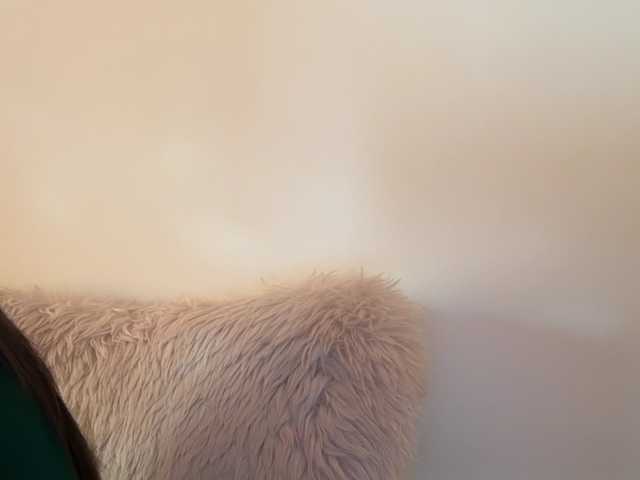 claireheart's BongaCams show and profile