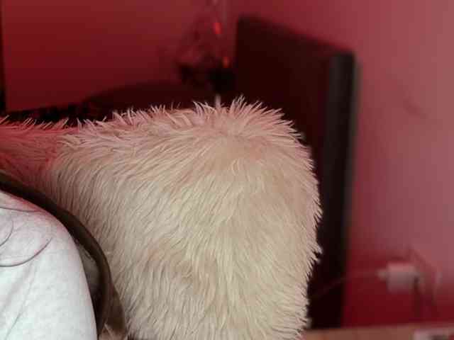 claireheart claireheart