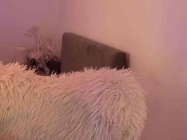 claireheart claireheart