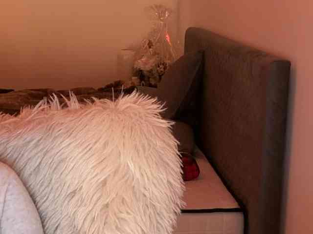 claireheart claireheart