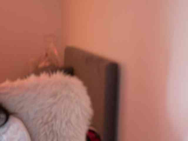 claireheart claireheart