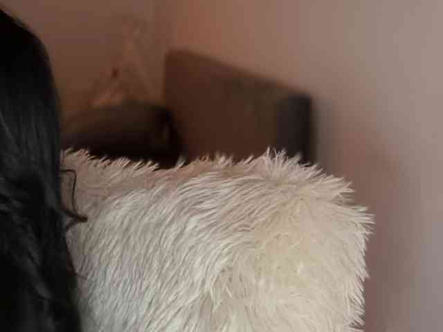 claireheart claireheart