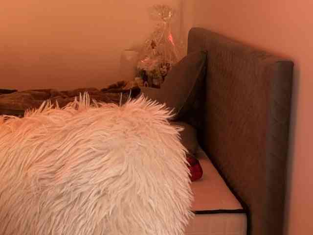 claireheart claireheart