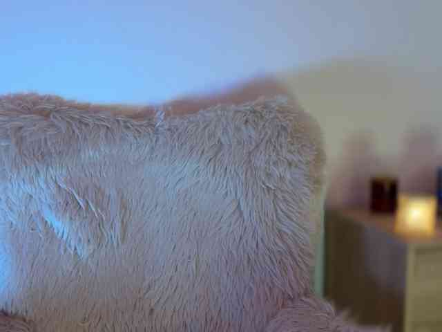 claireheart webcam