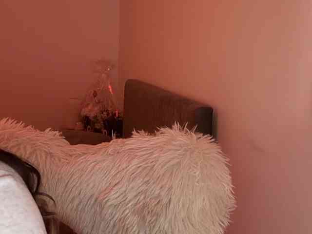 claireheart claireheart