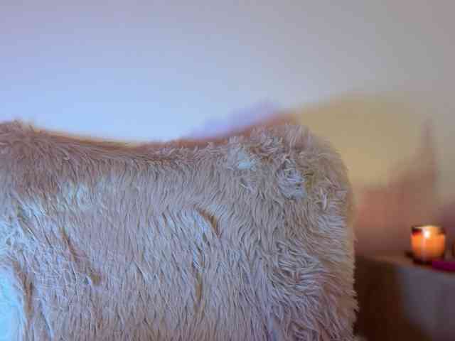 claireheart webcam