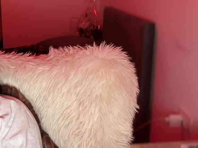 claireheart claireheart