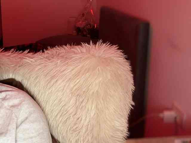 claireheart claireheart