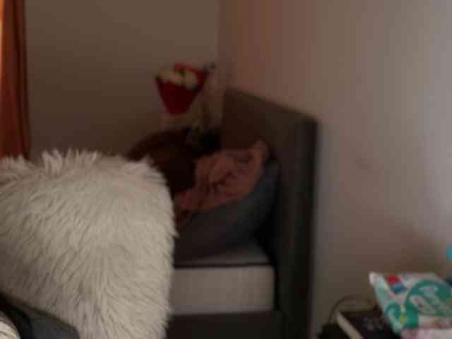 claireheart claireheart