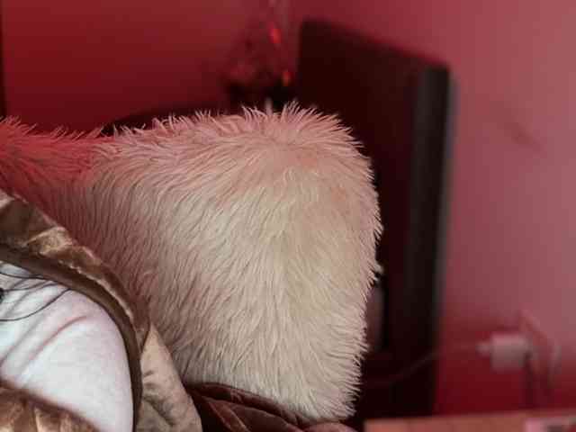 claireheart claireheart