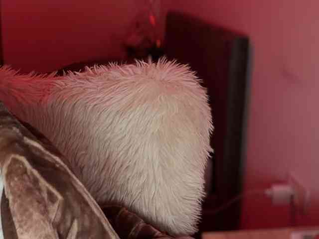 claireheart claireheart