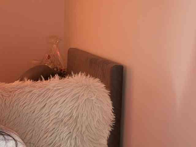 claireheart claireheart