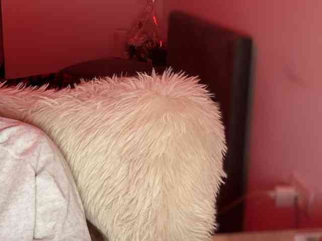 claireheart claireheart