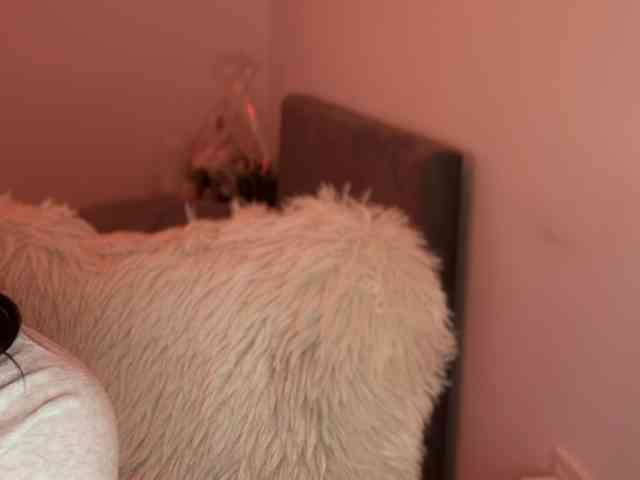 claireheart claireheart