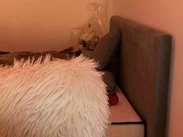 claireheart claireheart