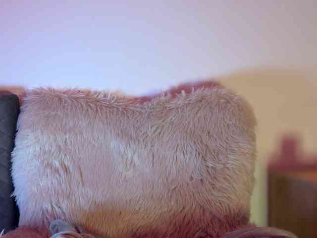 claireheart webcam