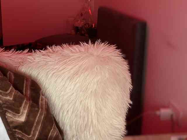 claireheart claireheart