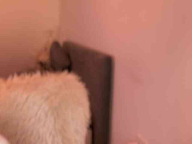 claireheart claireheart