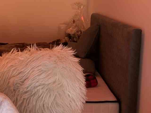 claireheart claireheart