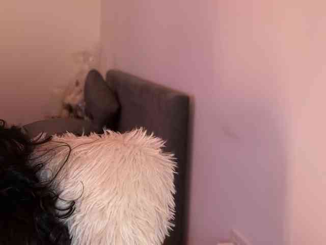 claireheart claireheart