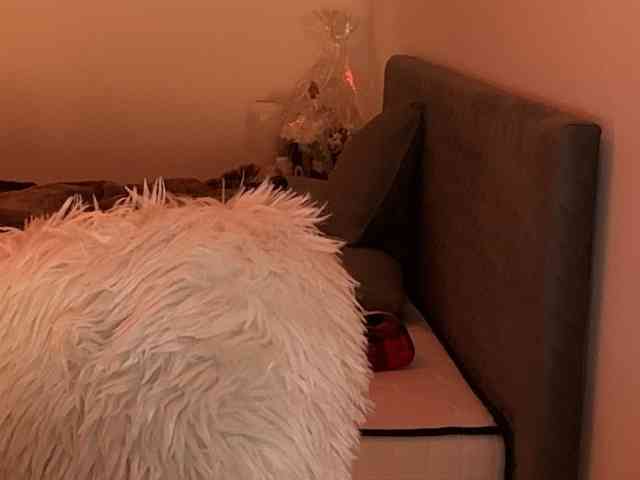 claireheart claireheart