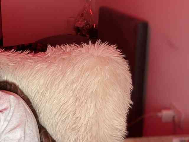 claireheart claireheart