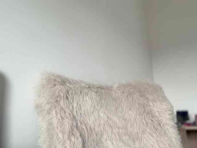 claireheart webcam