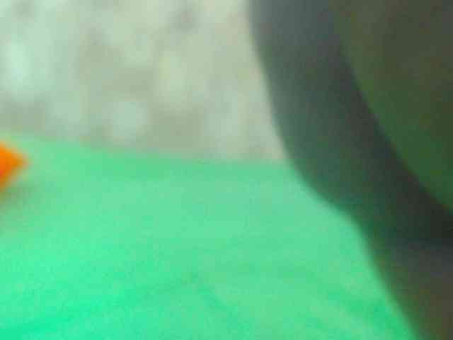 Ravenlip webcam