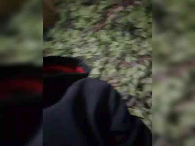 TheY380