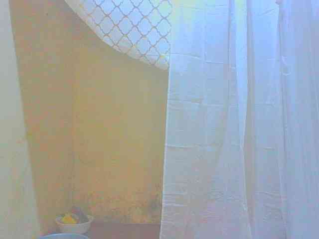 Dollybi1 webcam