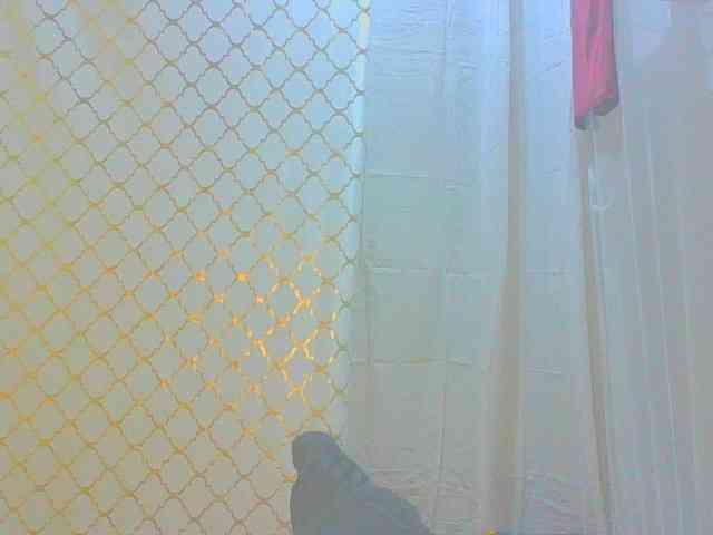 Dollybi1 webcam