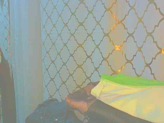 Dollybi1 webcam