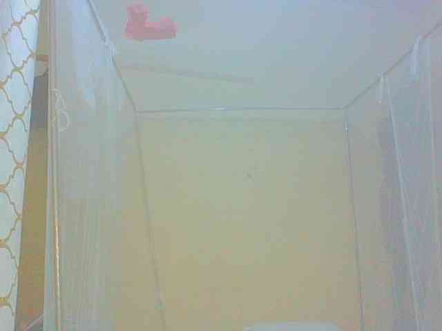 Dollybi1 webcam