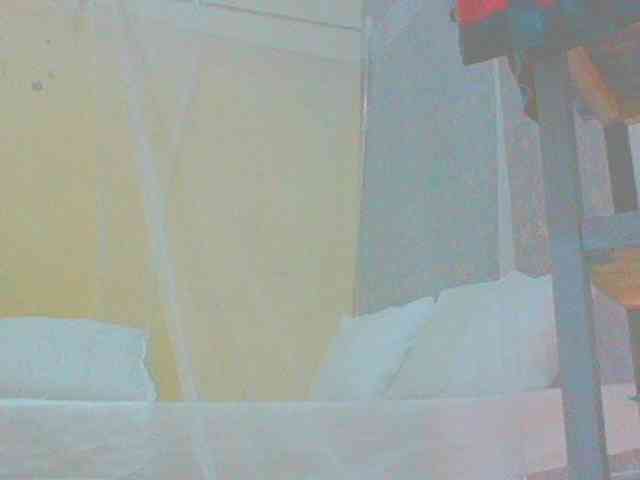 Dollybi1 webcam
