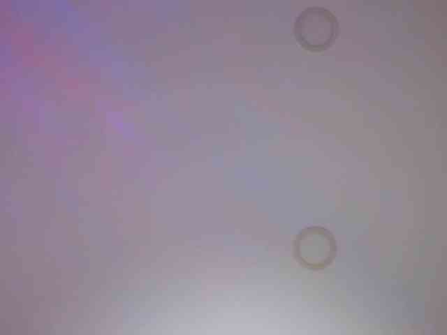 dangerouspassion webcam