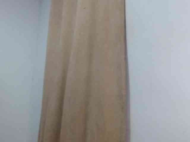 dangerouspassion webcam