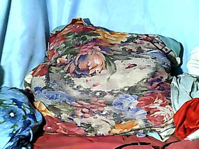 Karene-2 webcam