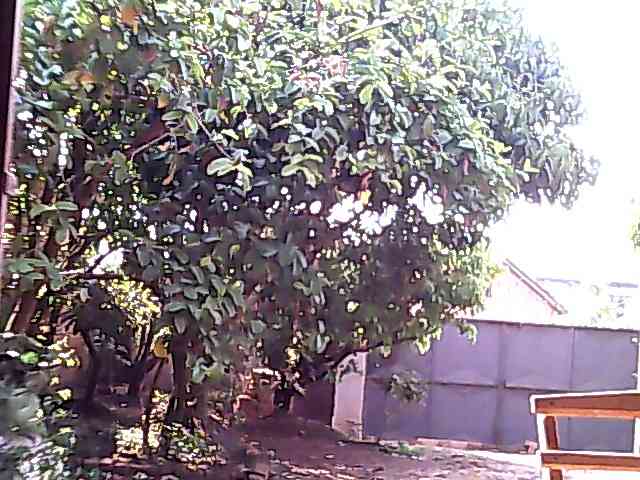 Karene-2 webcam