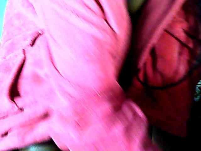 Karene-2 webcam
