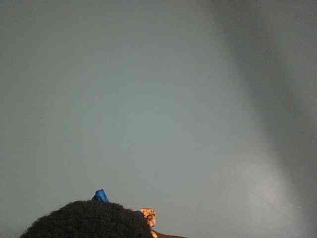 Sugarycake webcam