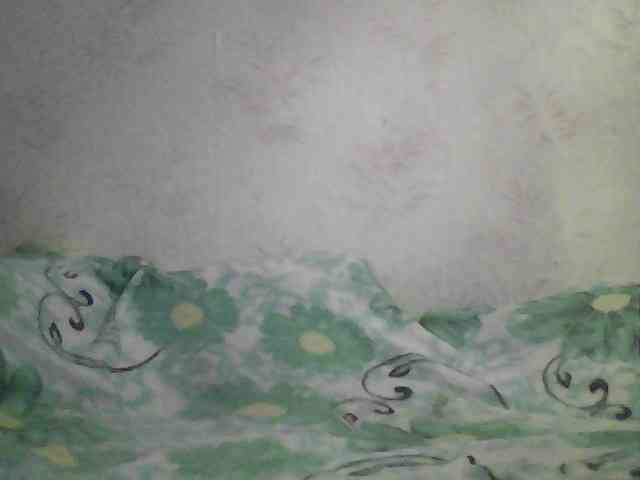 Marinade webcam