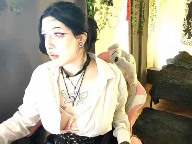 Harakassi webcam