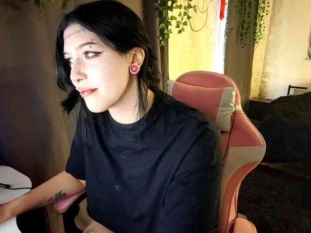 Harakassi webcam