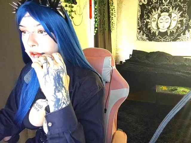 Harakassi webcam