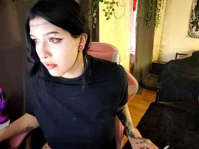 Harakassi webcam