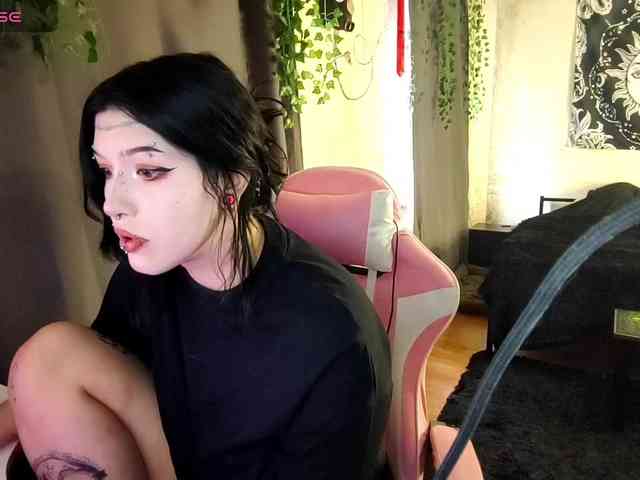 Harakassi webcam