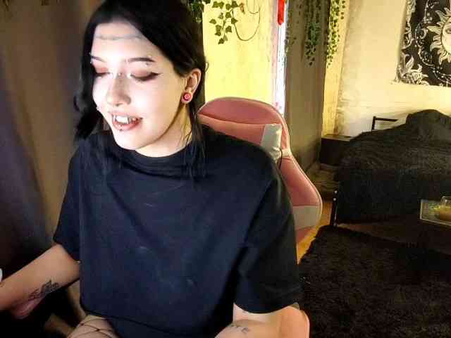 Harakassi webcam