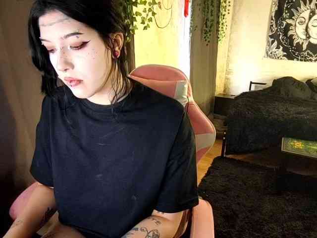 Harakassi webcam