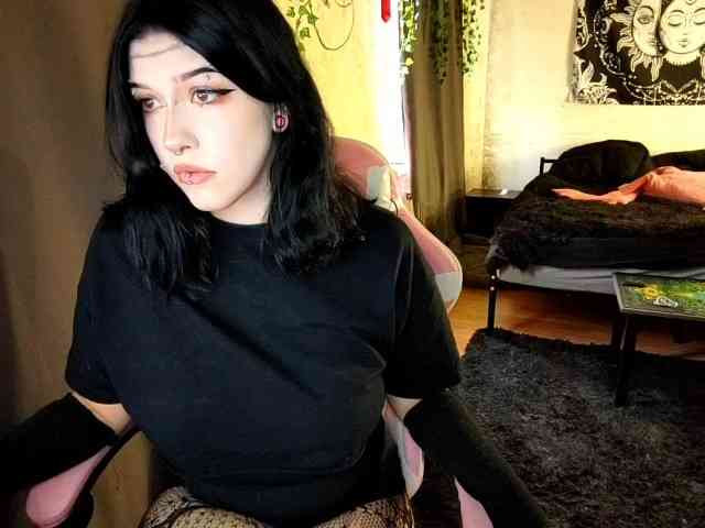 Harakassi webcam